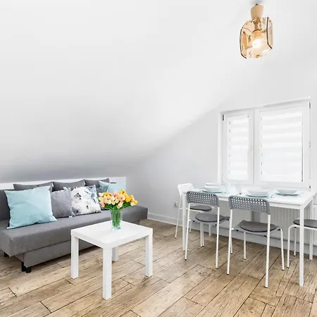 Apartment Slaska Apartments By Renters