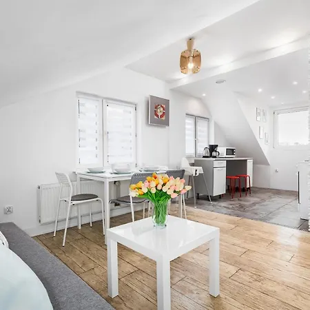Apartment Slaska Apartments By Renters *